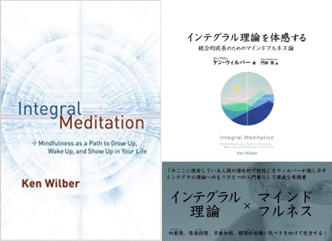 ケン・ウィルバー著『インテグラル理論を体感する』解説 (1) ~意識の発達段階 | Mindfulness News